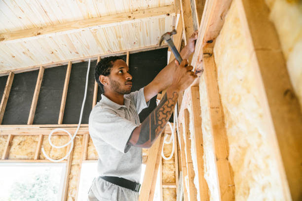 Professional Insulation in Woodstock, AL